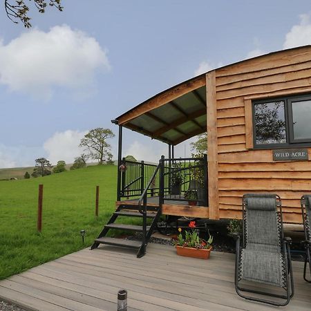 Villa Wild Acre Llangadog Exterior foto