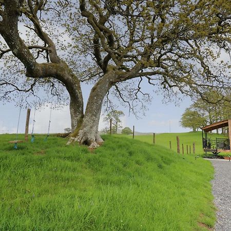 Villa Wild Acre Llangadog Exterior foto